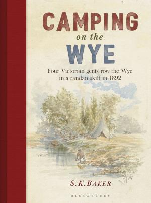 Cover of the book Camping on the Wye by David Savill