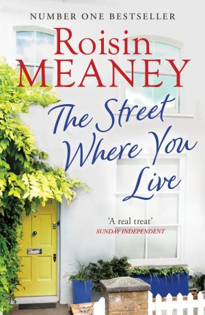Cover of the book The Street Where You Live by Roisin Meaney
