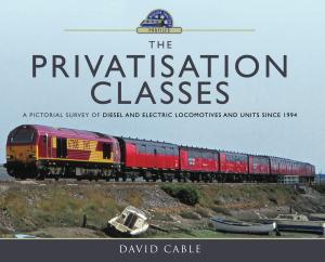 Cover of the book The Privatisation Classes by Martyn Johnson