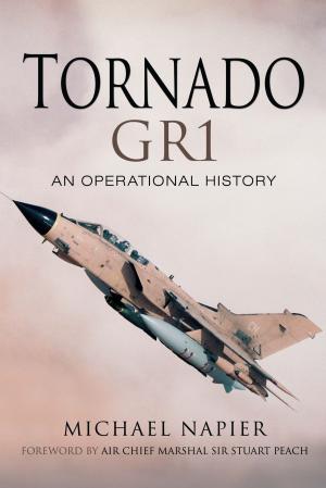 Book cover of Tornado GR1