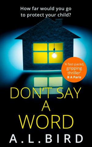 Cover of the book Don’t Say a Word by TW Iain