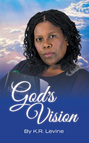 Cover of the book God's Vision by David D. Burdick
