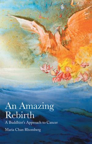 Cover of the book An Amazing Rebirth by Dr. Alaa Zidan