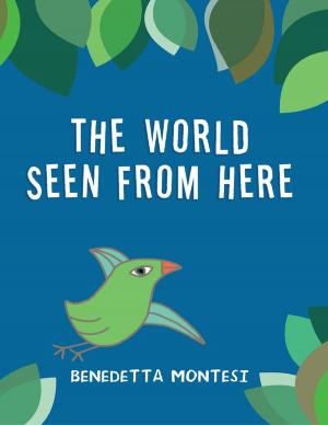 Cover of the book The World Seen from Here by Mary M. Schmidt