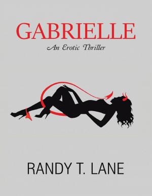 Cover of the book Gabrielle: An Erotic Thriller by Stewart Lillard