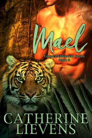 Cover of the book Mael by Viola Grace