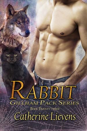 Cover of the book Rabbit by Celine Chatillon