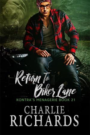 Cover of the book Return To Biker Lane by Sally Odgers