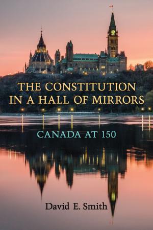 Cover of the book The Constitution in a Hall of Mirrors by Michael Lambek
