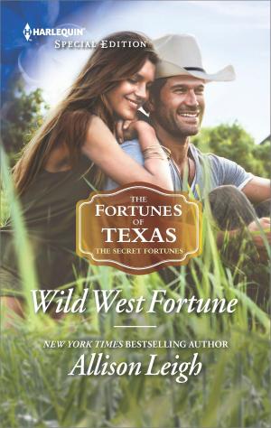 Cover of the book Wild West Fortune by Deborah Fletcher Mello