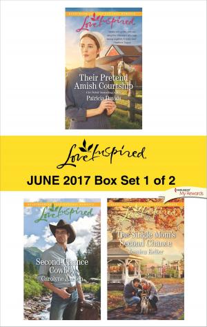 Cover of the book Harlequin Love Inspired June 2017 - Box Set 1 of 2 by Christine Kingsley