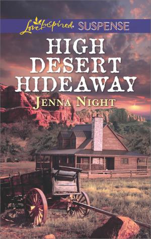 Book cover of High Desert Hideaway