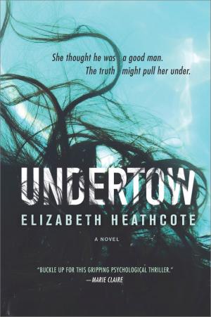Cover of the book Undertow by Ellen Keith