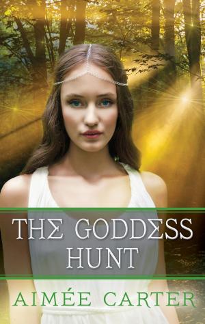 bigCover of the book The Goddess Hunt by 