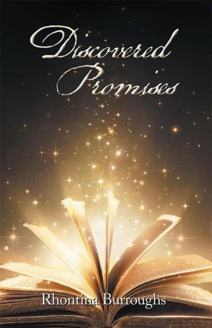 Cover of the book Discovered Promises by Barbara M Schwarz