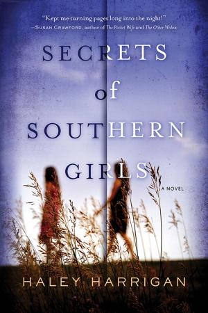 Book cover of Secrets of Southern Girls