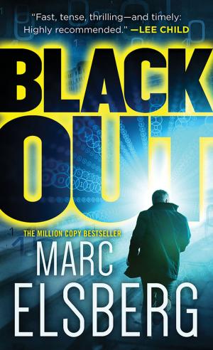 Cover of the book Blackout by John Bude