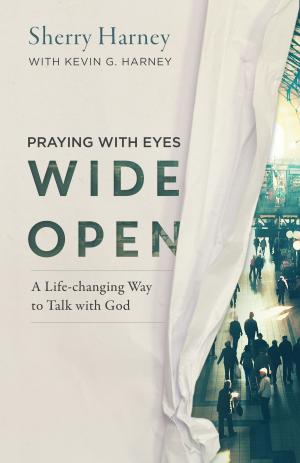 Cover of the book Praying with Eyes Wide Open by Alan Morris
