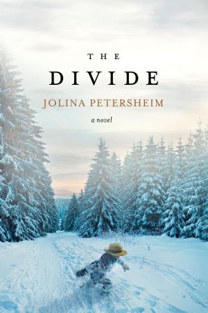 Cover of the book The Divide by Kim Newlen