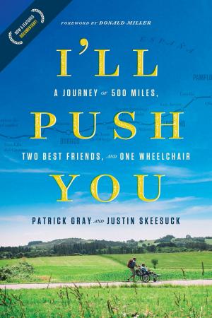Cover of the book I'll Push You by Chris Fabry, Kendrick Bros. LLC