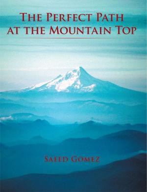 Cover of the book The Perfect Path: at the Mountain Top by Neile McQueen Toffel