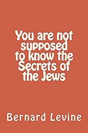 Cover of You Are Not Supposed to Know the Secrets of the Jews