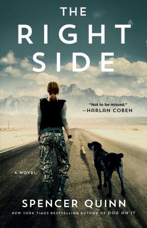 Cover of the book The Right Side by Elisha Goldstein, Ph.D.