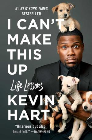 Book cover of I Can't Make This Up