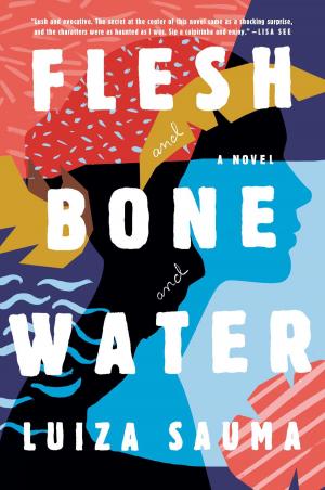 Cover of the book Flesh and Bone and Water by David Kessler
