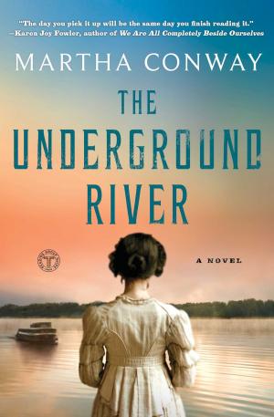 Cover of the book The Underground River by Dia L. Michels