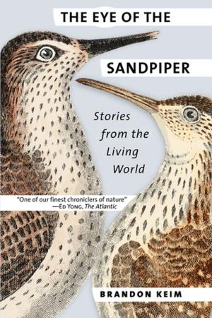Cover of the book The Eye of the Sandpiper by Theodore Roosevelt
