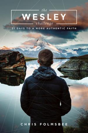Cover of the book The Wesley Challenge Participant Book by Adam Hamilton