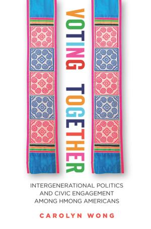 Cover of the book Voting Together by Julie Park