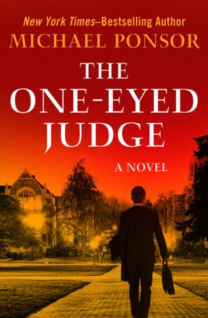 Cover of the book The One-Eyed Judge by Bonnie Bryant