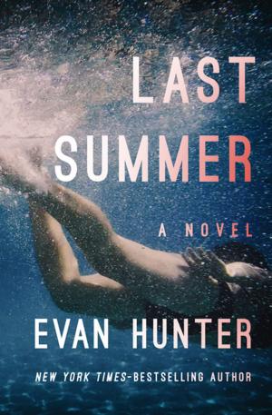 Cover of the book Last Summer by L. Danny Perez