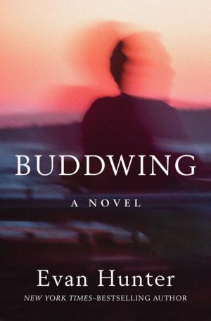 Book cover of Buddwing