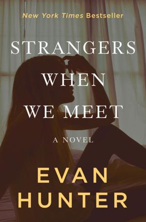 Cover of the book Strangers When We Meet by Alix Kates Shulman