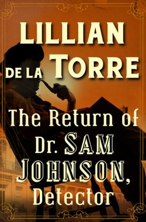 Cover of the book The Return of Dr. Sam Johnson, Detector by Bart Debbaut