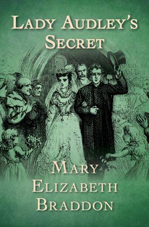 Cover of the book Lady Audley's Secret by Janet Dailey