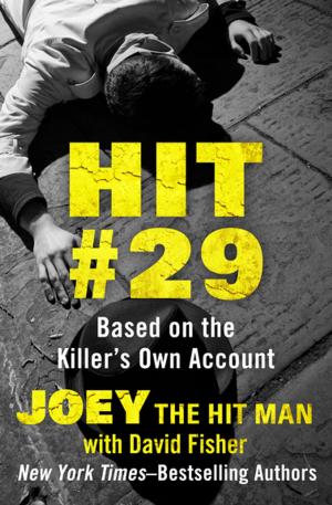 Cover of the book Hit #29 by Ron Fry