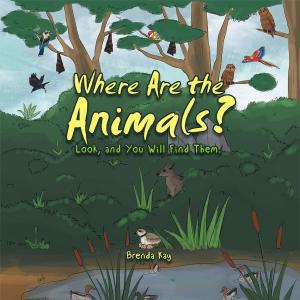 bigCover of the book Where Are the Animals? by 