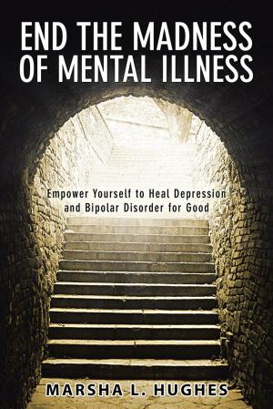 Book cover of End the Madness of Mental Illness