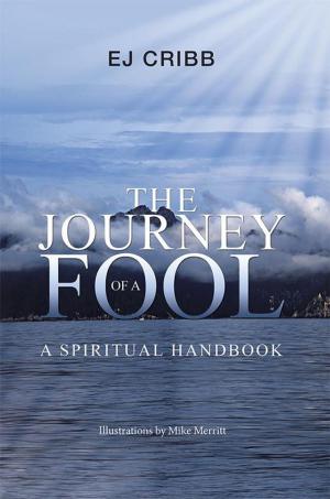 Cover of the book The Journey of a Fool by Eric Z. Lucas