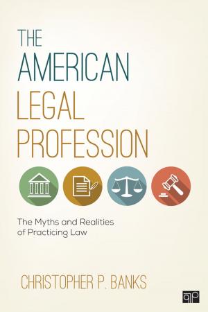 Cover of the book The American Legal Profession by Meike Hohenwarter