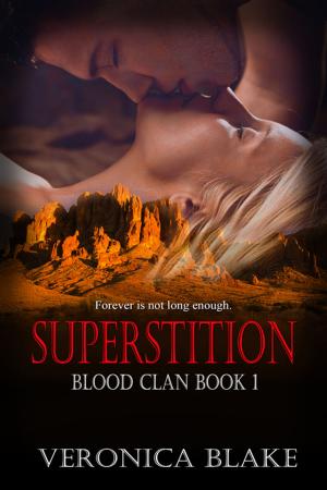 Cover of the book Superstition by Karilyn  Bentley