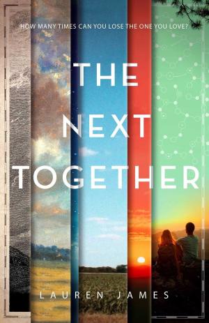 Cover of the book The Next Together by Cerrie Burnell