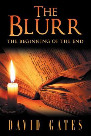 Book cover of The Blurr