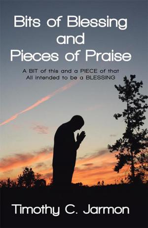 Book cover of Bits of Blessing and Pieces of Praise