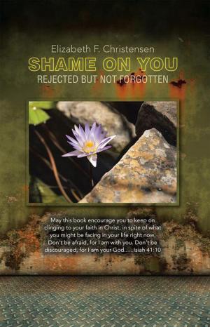 Book cover of Shame on You