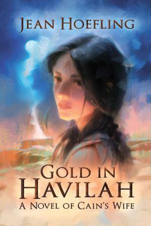 Cover of the book Gold in Havilah by Godstime Okure